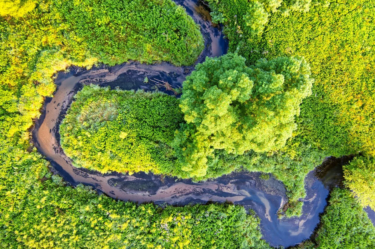 Environmental Monitoring & Assessment